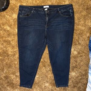 Lane Bryant Dark Blue Skinny Jeans